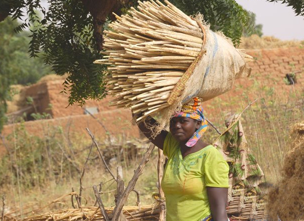 Le retour des  champs