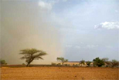 Pluie niger Sophie
