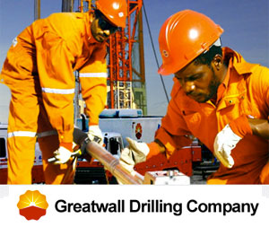 GWDC Niger