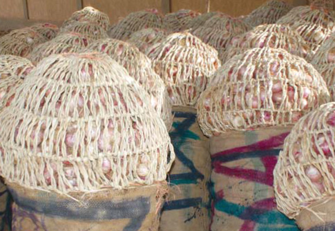 Ouverture des nouveaux locaux de Niger Air Cargo : une opportunité d’accès au marché européen pour la filière oignon