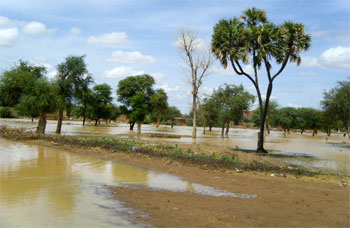 Pluie Niger 