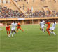 ASFAN_NIGER
