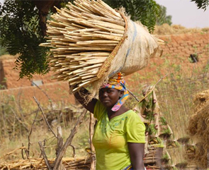 Journée de solidarité en faveur des femmes rurales