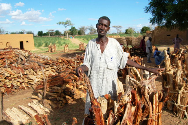 Consommation de bois à Niamey : entre nécessité et protection de l’environnement