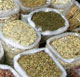 Maagani_galgajia