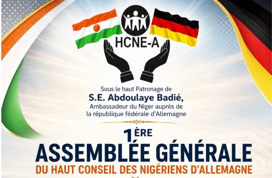diaspora nigerienne en allemagne le haut conseil des nigeriens
