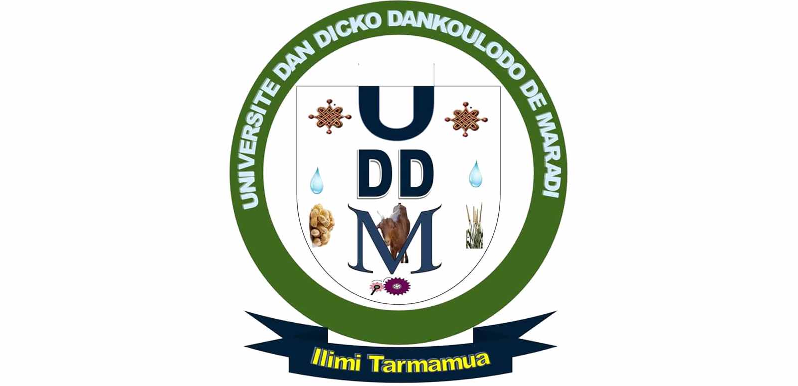 Universite Dan Dicko Dankoulodo de Maradi
