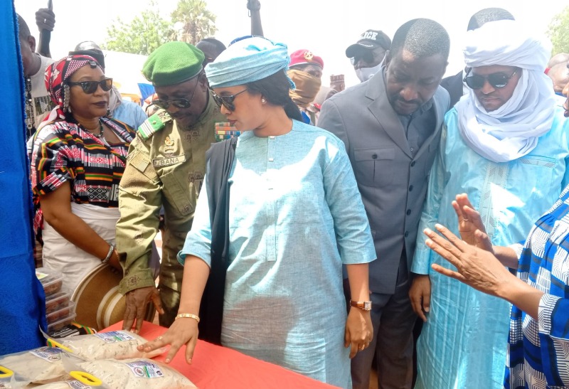 autonomisation des femmes au niger la foire de birni ngaoure comme levier de developpement economique