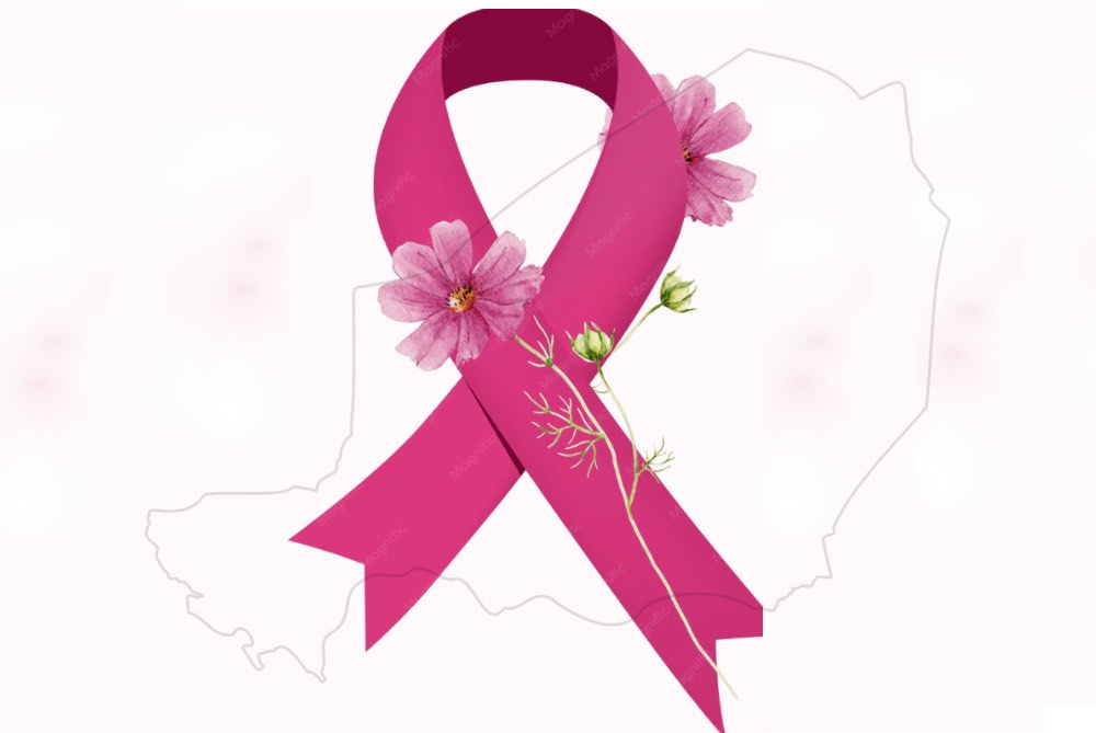 octobre rose au niger prevenir et agir grace au diagnostic precoce du cancer du sein