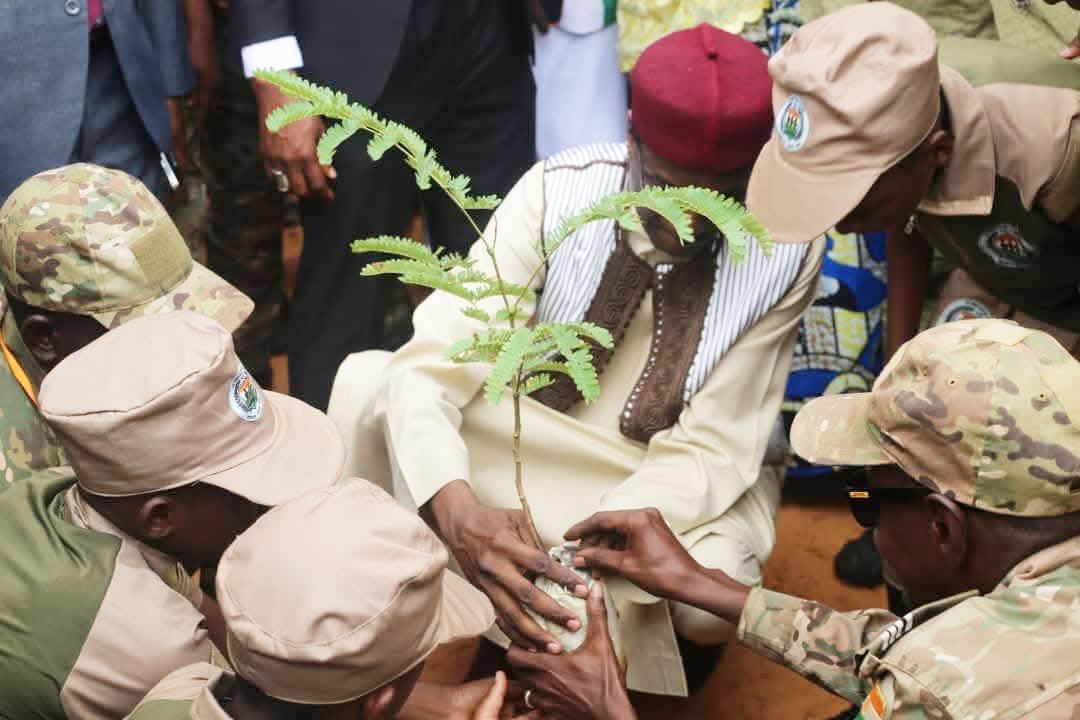 Journee nationale de l Arbre 2026