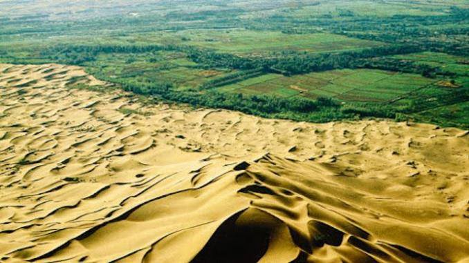 Muraille Verte Niger