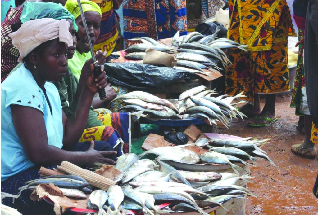 Vendeuse de poisson Niger